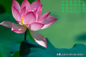 一生中的情人，是命中注定的图片