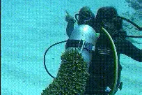 搞笑段子，不开心笑一笑图片