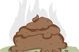 比便秘还可怕的，是大便不成形！图片