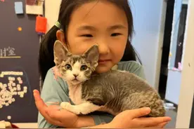 有个很玄学的说法：你和猫是有“子女缘”的，特别是它带这5征兆图片