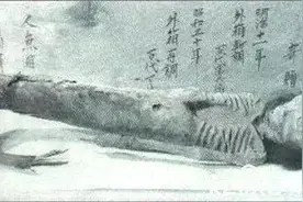 南海惊现鲛人图片