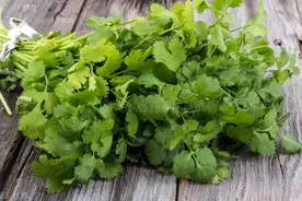 立秋后，香菜、芹菜都可以种咯！这两款优质好品种，赶紧试试吧图片