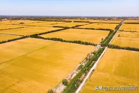 耕地面积最大的10个国家，乌克兰第九，俄罗斯并不是第一图片