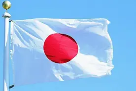 愤怒到极点，国际原子能总干事访问韩国，遭韩国在野党当面谴责图片