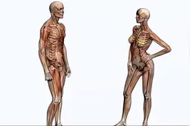 为什么大多数动物的排泄和交配器官，是同一个？自然选择的结果？图片