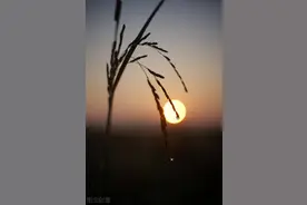 三个细节，看清楚女人的本性图片