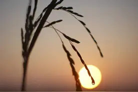 三个细节，看清楚女人的本性图片