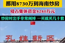一个800人的社区的书记，是如何挪用、侵占集体资金过亿元的图片