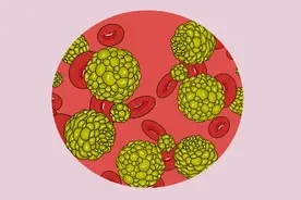 发现鱼肉中含致癌成分，可信吗？经常吃鱼，身体到底收获到了啥？图片