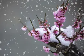 有一种爱情，叫灵魂伴侣图片