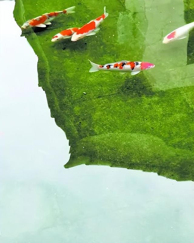 入展图赏 | 南孔圣地 时代风尚