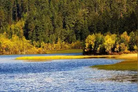 怎么办理签证出国？有护照了就能办签证了吗？去哪里办理？图片