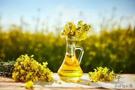 油菜籽行业专题研究：油菜籽简介及期货价格研究图片