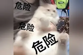 电梯内，“熊孩子”又出手了！图片