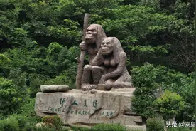 神农架野人真相：真如史书所说是秦朝难民？40年前中科院已有答案图片