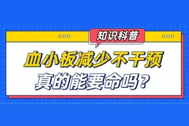 血小板减少不干预，真的能要命吗？图片