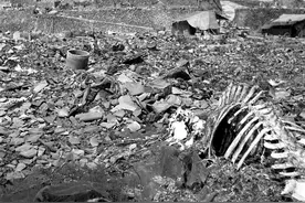 原子弹爆炸时，躲到水里能否保命？日本人用亲身经历揭开谜底图片