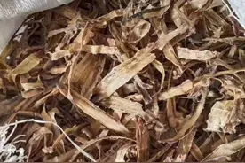 揭秘野生蚯蚓地下产业链：电击法斩尽杀绝，已有商户被罚200万图片