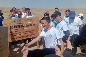 蚂蚁森林五年了，马云许诺每年种一亿棵树，这些树怎样了？图片