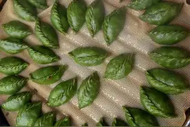 味蕾的记忆——清明果图片