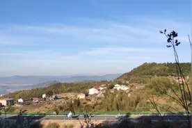 教师不当言论频发，不能简单一罚了事图片