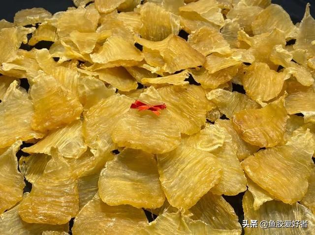 鳘鱼胶跟鳕鱼胶哪个好 鳕鱼胶大小区别