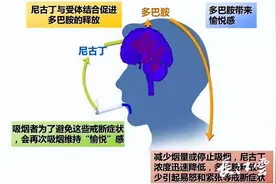 又一国产戒烟药获批上市，属于处方药需遵医嘱图片