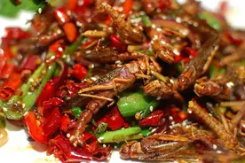 河南“五大怪菜”，都是本地人的心头爱，外地人：真不敢吃图片