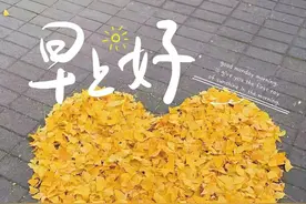 早安语录 平平淡淡，从从容容，才是生活该有的状态图片