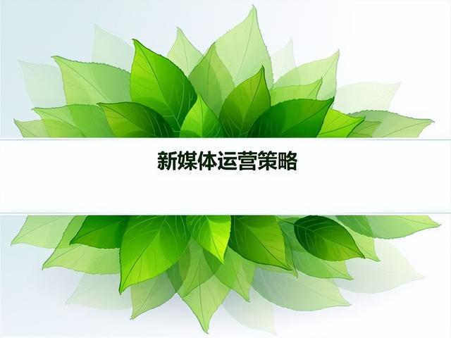 如何报考网络营销师证