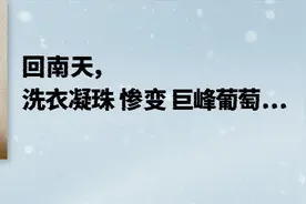 洗衣凝珠对比测评：我们“吃”了7款，结果发现......图片