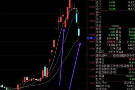第一波大分歧图片