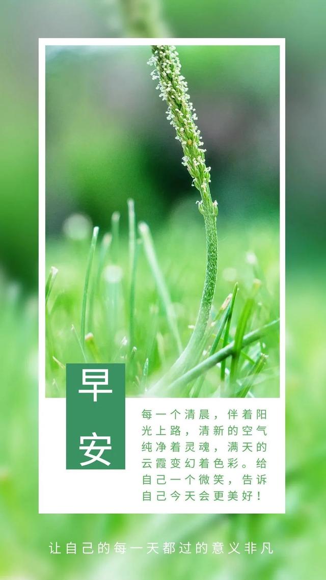 「2022.06.27」早安心语，正能量暖心语录图片 激励自己努力的语句