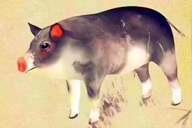 懒人有懒福的3生肖女，老公疼爱，婚后幸福又有钱图片