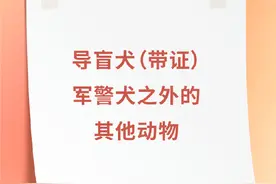 乘坐地铁哪些物品不可带？看这一篇就够了！图片
