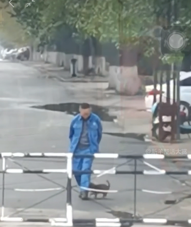 鸡皮疙瘩和眼泪