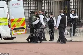 英国男子向白金汉宫扔枪药，还大喊"杀死国王"？ 王室：没啥大事图片