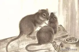 民间故事：老鼠为什么住在地下图片