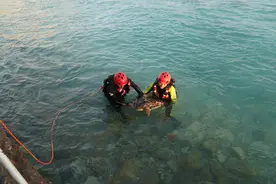 受伤海龟被困西沙海域港池 三沙消防成功救助图片