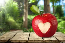 植物故事：苹果与亚当夏娃；苹果与牛顿图片