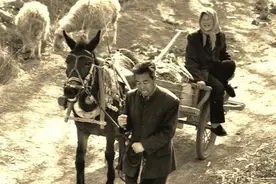 一个《隐入尘烟》的真实故事图片