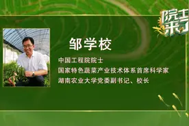 “辣椒院士”邹学校：让辣椒树成为农民的“摇钱树”图片