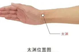 手太阴肺经五腧穴图片