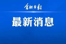 后天，这场全国峰会在合肥召开！图片