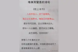 唯美到窒息的诗句《枕上诗书》图片