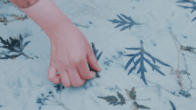 IT夫妇中年辞职，拿下1200㎡荒地归隐，如今第七年了