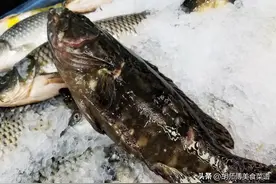去市场买鱼时，内行人专挑这5种鱼，肉厚刺少，蛋白质丰富！图片