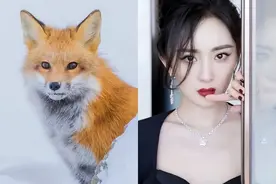 “动物系”明星代言人，犬系、狐系，鹿系？参照她们轻松搞定妆容图片