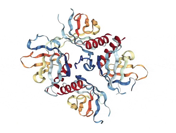 人类首次获得小行星地下物质并发现超20种氨基酸，意味着什么？