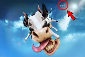 地球上最特别的 10 场雨图片